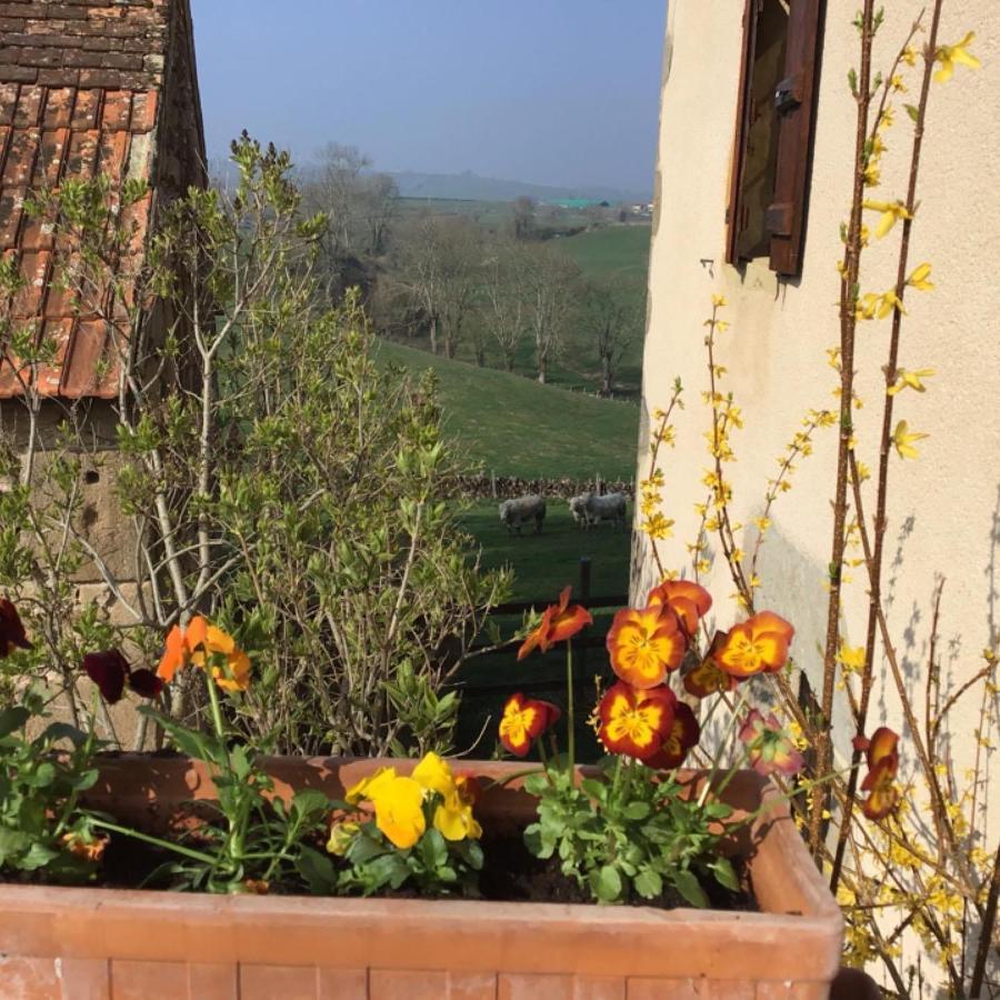 Gîte Le Mur magnifique longère au Bourgogne-du-Sud Oye Esterno foto
